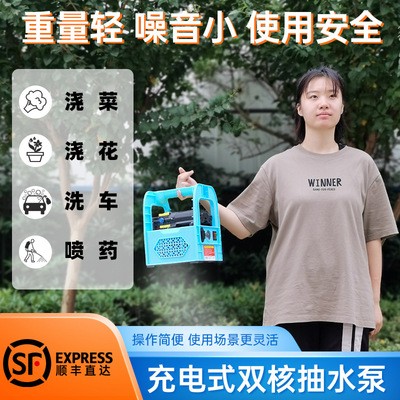 農(nóng)狀元廠家批發(fā)充電式抽水泵小型噴霧器高壓澆菜神器澆水機農(nóng)用