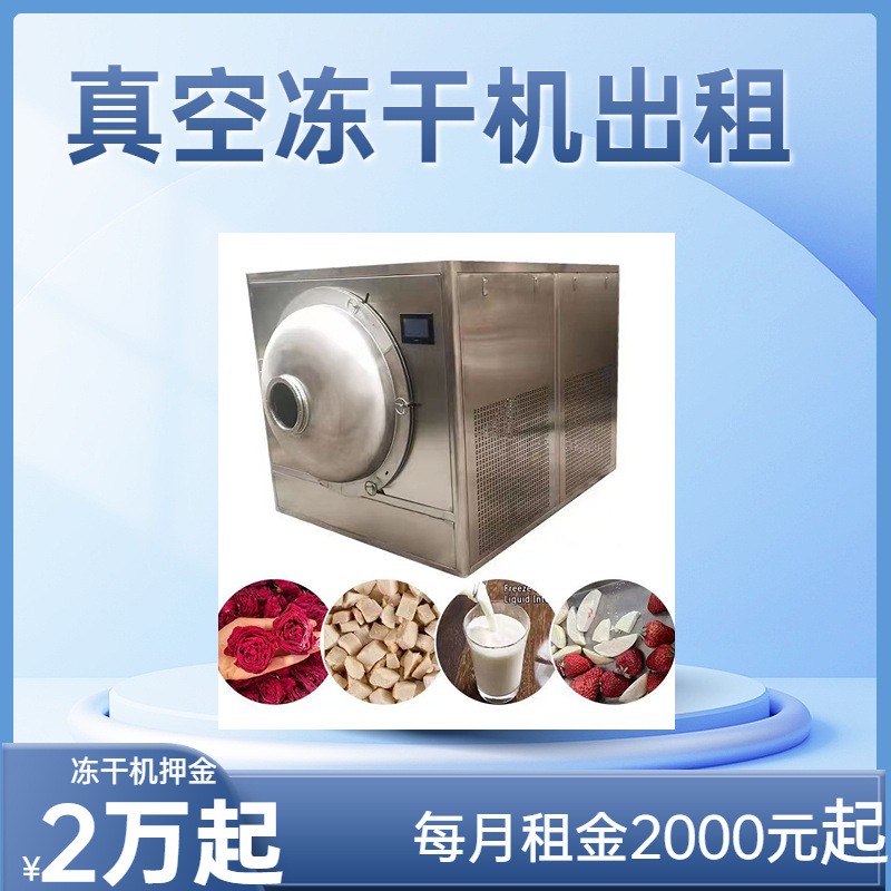 出租30平真空凍干機 蔬菜干食品類設備 FD低溫凍干機線