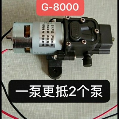 電動(dòng)噴霧器水泵高壓8000轉(zhuǎn)水泵電機(jī)打藥機(jī)配件回流水泵噴霧器配件