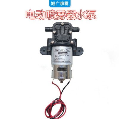電動(dòng)噴霧器水泵高壓大功率水泵電機(jī)打藥機(jī)配件回流水泵噴霧器配件