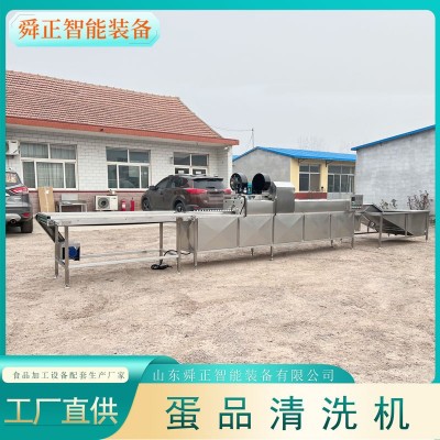 諸城雞蛋鴨蛋清洗機 單排保潔蛋清洗設(shè)備 雞蛋清洗光檢噴碼一體機