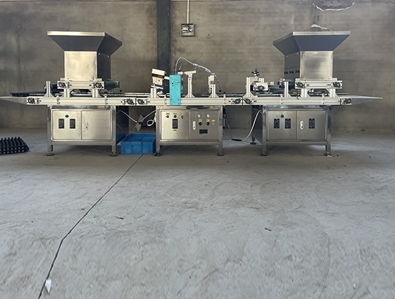 全自動育苗播種機相較于傳統育苗方法的優勢