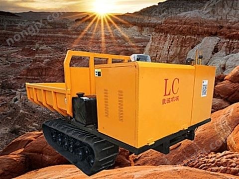 良誠3噸履帶運輸車