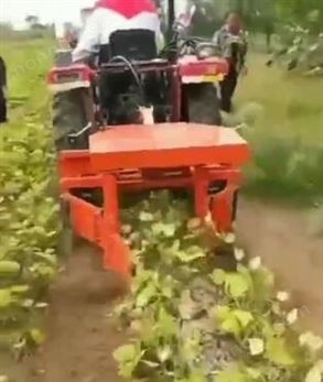 綠豆割曬機(jī)視頻2