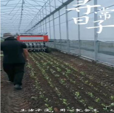 蔬菜移栽機