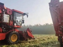 濰坊“三秋”保障、農(nóng)機(jī)作業(yè)、烘干點(diǎn)、履帶式收獲機(jī)信息一覽