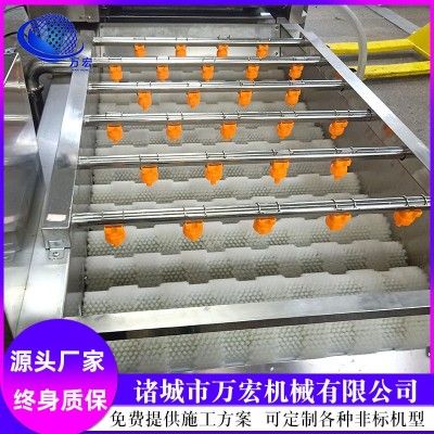 氣泡清洗機(jī) 圣女果高壓清洗設(shè)備 水果蔬菜噴淋式清洗機(jī)器