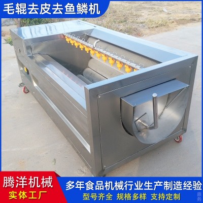 不銹鋼毛輥清洗去皮機(jī) 土豆果蔬去皮清洗機(jī) 羊頭羊蹄清洗機(jī)器