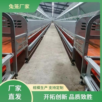 新勝順畜牧設(shè)備 提供種兔 肉兔子籠子 透光性好 提高產(chǎn)量